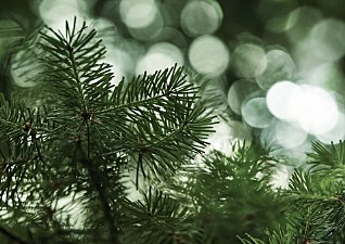 AROMATIC HAND WASH n